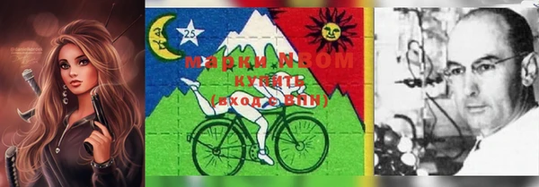 бошки Новозыбков